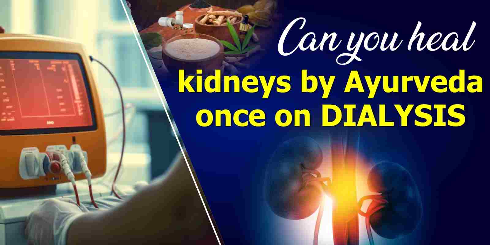 Can You Heal Kidneys by Ayurveda Once on Dialysis